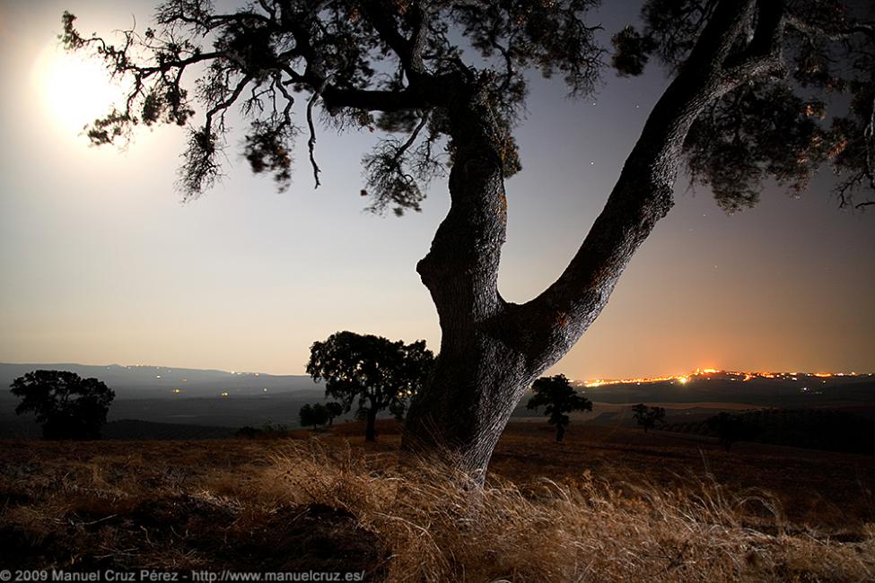 Imagen 2 de la galería de paisaje